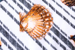Dolce & Gabbana Multicolor Stripes Seashells Beach Towel